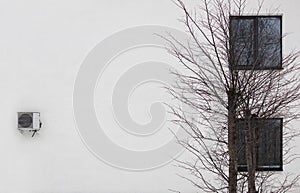 white wall, two windows, tree and air conditioner