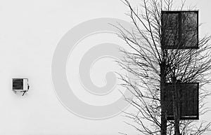 white wall, two windows, tree and air conditioner