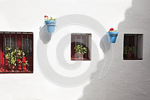 White wall with windows and flowers