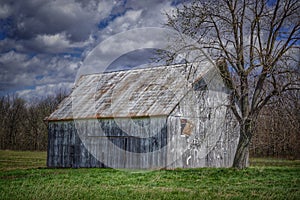White Washed Old Barn With Tree