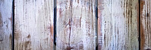 White washed wood texture. Light wood texture background