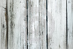 White washed wood texture. Light wood texture background