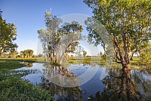White water Billabong, Kakdu National Park, Australia