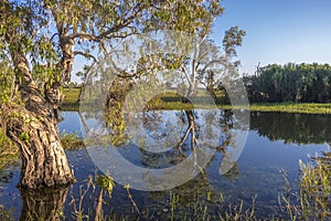 White water Billabong, Kakdu National Park, Australia