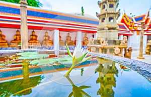 The white water lily in Wat Pho temple, Bangkok, Thailand