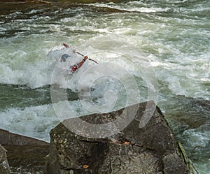 White Water Rifting