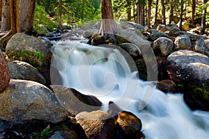 White water rushing through boulders and over rocks near Mt Evans mountain in Colorado.