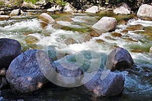 White water rushing over rocks in a rainforest