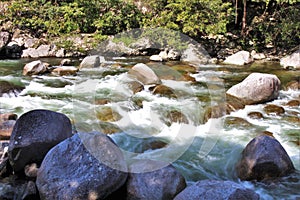 White water rushing over rocks in a rainforest