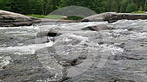 White water rushing at Pabineau Falls, New Brunswick, Canada