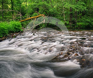 White water in a stream next to a huge fallen tree