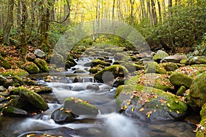 A small creek in the Smokies in fall colors. photo