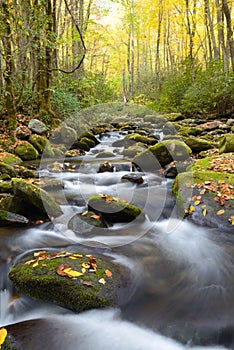 Vertical - A small creek in the Smokies in fall colors. photo