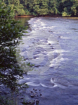 White water swift current in a mountain river