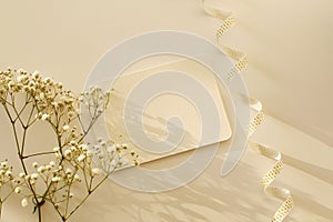 White wave ribbon wave, flower twig and card copy space for your text message. Light and shadows minimalism style template