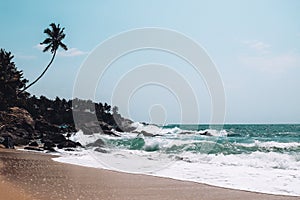 White waves breaking on smooth sand on a secluded beach in a remote island Sri Lanka. Single diagonal palm tree in the background