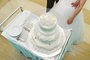 White Weddding Cake