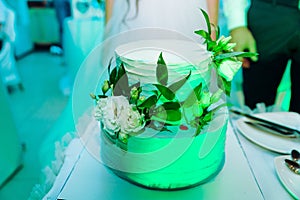 White wedding cake decorated by flowers fruits