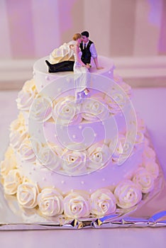 White wedding cake decorated by flowers fruits