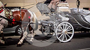 A white wedding carriage