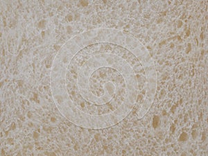 White whole wheat bread slice.