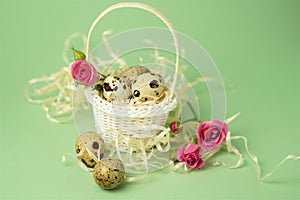 White wicker basket filled with straw,small pink roses,quail eggs on a green background. The concept of Easter Holidays. Easter