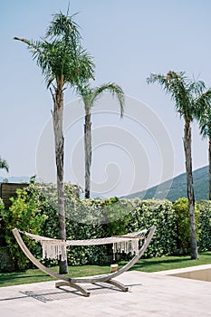 White wicker hammock on a stand hangs in the hotel courtyard near green palm trees