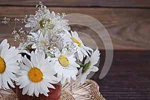 White wild daisy flowers in a vase