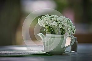 White wildflowers in a white teapot on a table