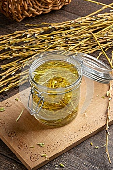 White willow bark collected in spring, macerating in alcohol to prepare herbal tincture