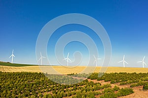 White wind power generators rotate in an agricultural field in Israel