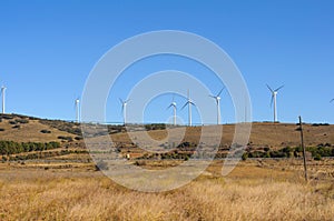 White windmills electricity in the field