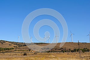 White windmills electricity in the field