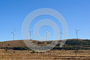 White windmills electricity in the field