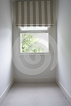 White window with curtain