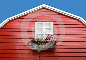 White window with flower on red barn