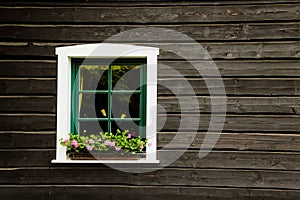 White window with flowers and green frame on a countryside house or cottage with dark black wooden wall