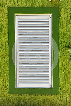 White Window on Green Textured Wall