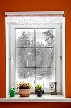 White window in orange room from which the view of the winter forest. Window to snow forest. The windows were frozen and covered