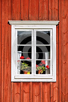 White window with red flowers