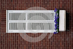 White window shutters