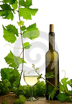 White wine