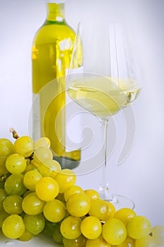 Vino bianco 