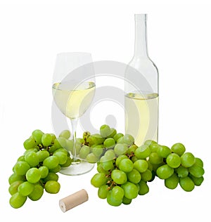 Vino bianco 