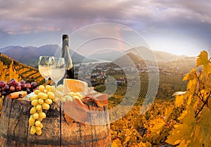 White wine with barrel on famous vineyard in Wachau, Spitz, Austria