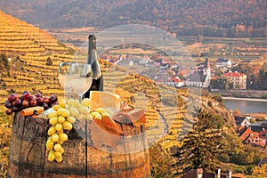 White wine with barrel on famous vineyard in Wachau, Spitz, Austria