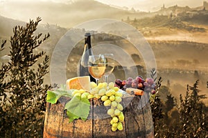 White wine with barrel on vineyard in Chianti, Tuscany, Italy