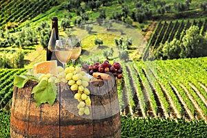 White wine with barrel on vineyard in Chianti, Tuscany, Italy