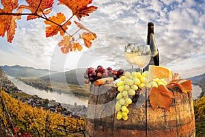 White wine with barrel on vineyard in Wachau, Spitz, Austria