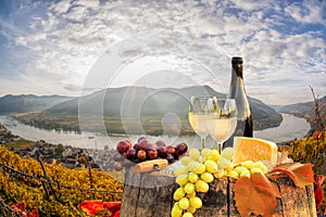 White wine with barrel on vineyard in Wachau, Spitz, Austria